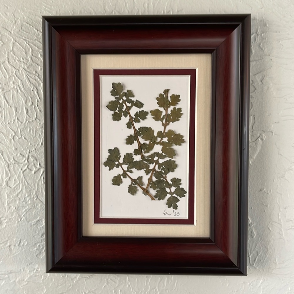 Dried press, floral leaves in beautiful wooden frame.